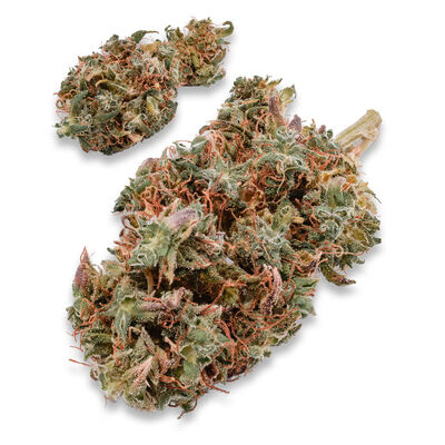 legales Cannabis CBD Hanf Blueten DFMH9
